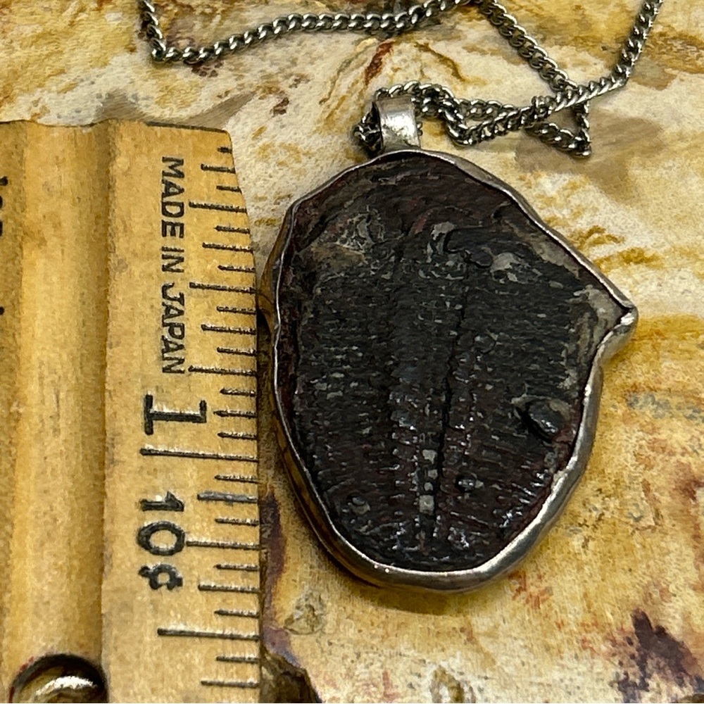 Vintage Trilobite Fossil Pendant In Sterling On Silver Tone Chain Unmarked - Picture 4 of 5